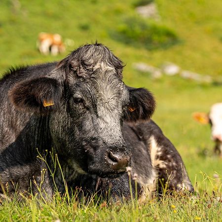 Hotel Alpen Arnika Tauplitzalm Dış mekan fotoğraf