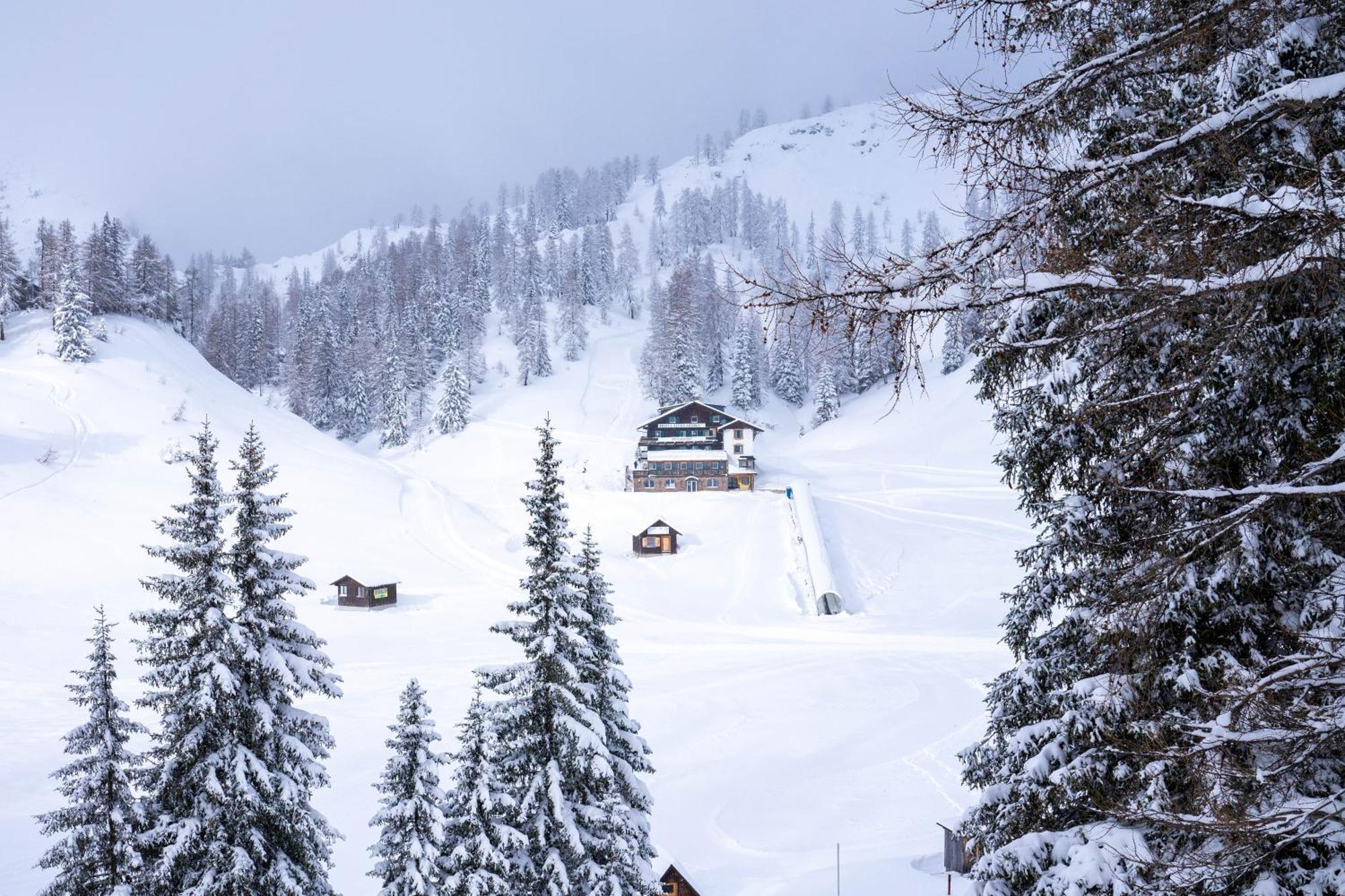Hotel Alpen Arnika Tauplitzalm Dış mekan fotoğraf