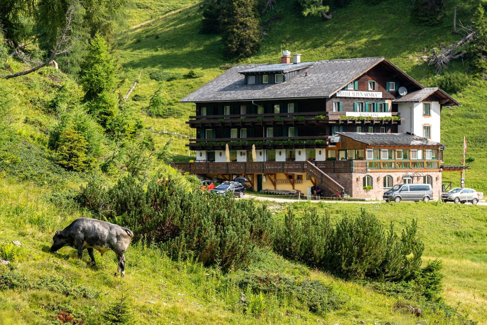 Hotel Alpen Arnika Tauplitzalm Dış mekan fotoğraf